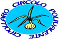 Torneo Amatoriale Calcio a 5 ciampino cipollaro