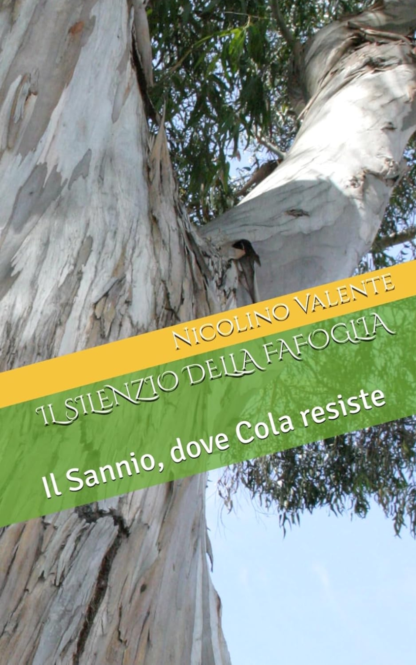 Copertina de Il Silenzio della Fafoglia